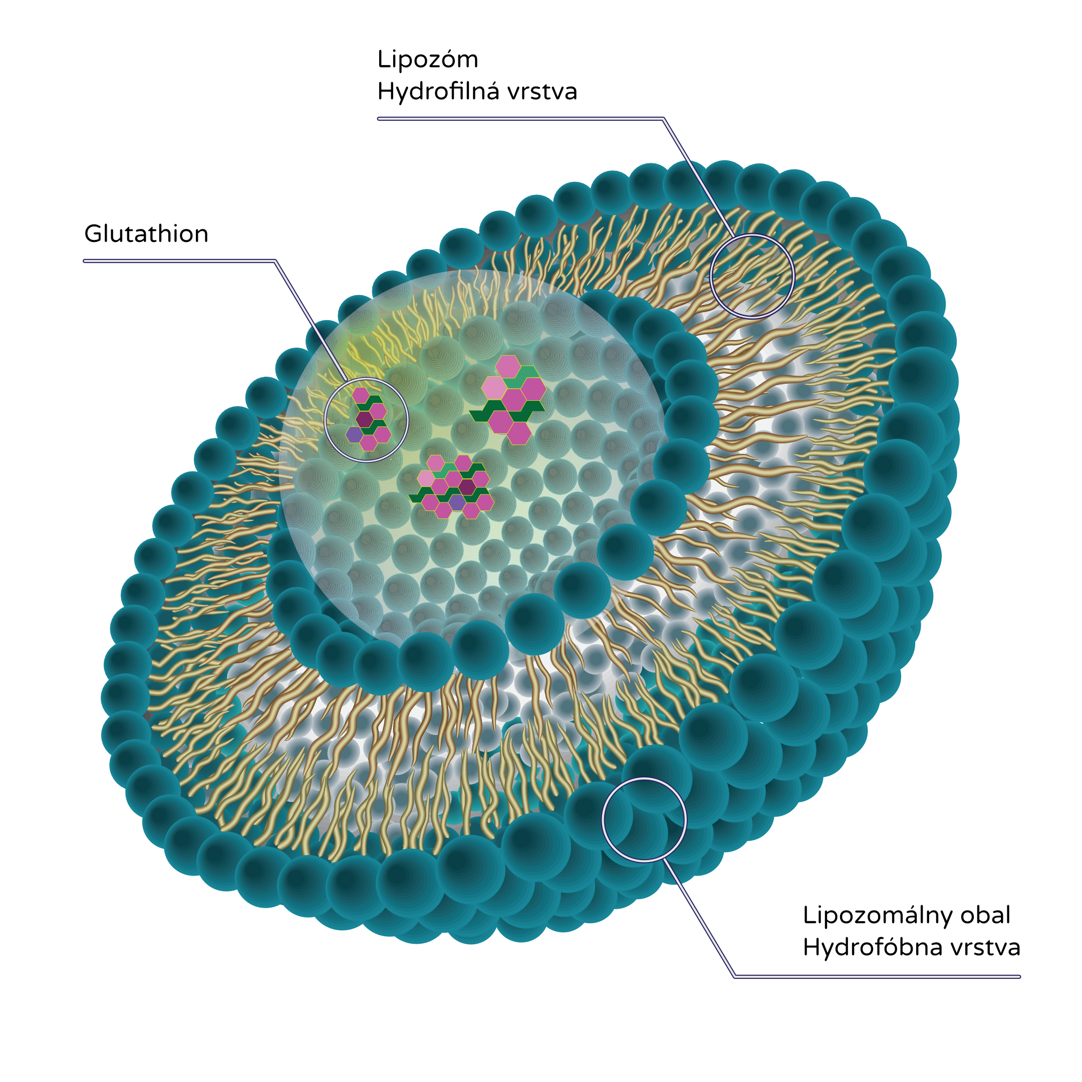 lopomalni glutathion_sk